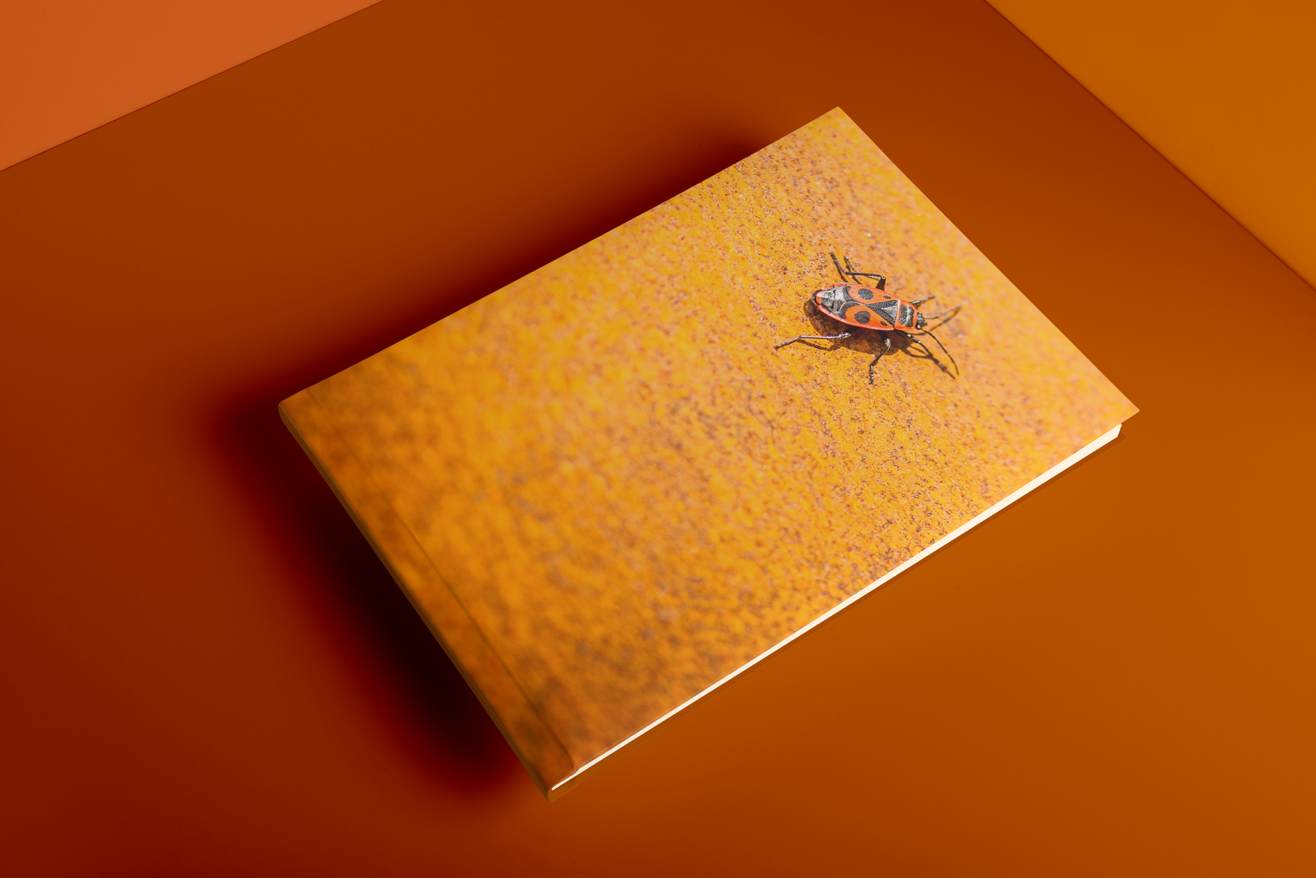 Folwark w Chorowicach IPA 2019